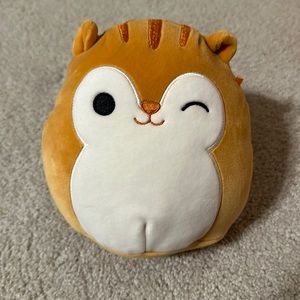 squishmallow squirl